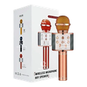 Wireless Speaker BT microphone WS-858