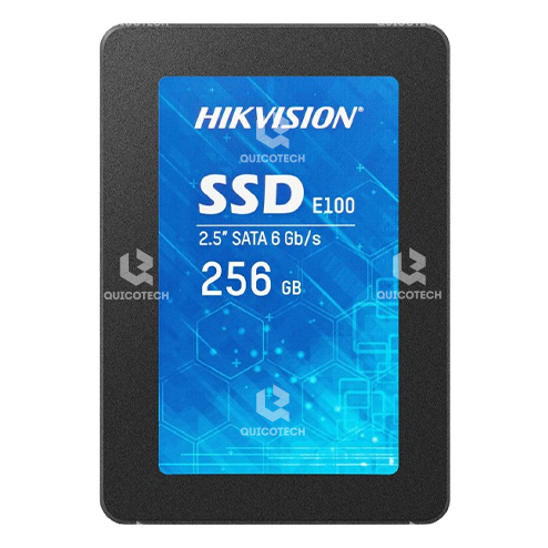 HIKVISION SSD DRIVE 256GB E100