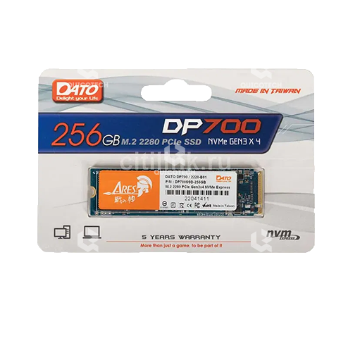 DATO NVME 256GB DP700