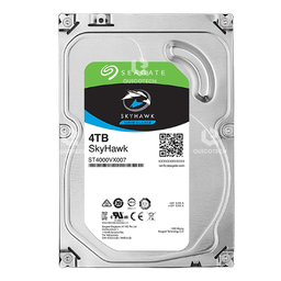 SEAGATE HDD DT 4TB SATA SKYHAWK 5900RPM 64MB SURVILLANCE