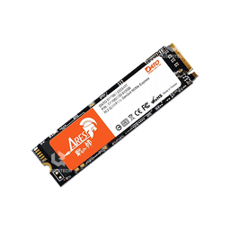 DATO NVME 256GB DP700